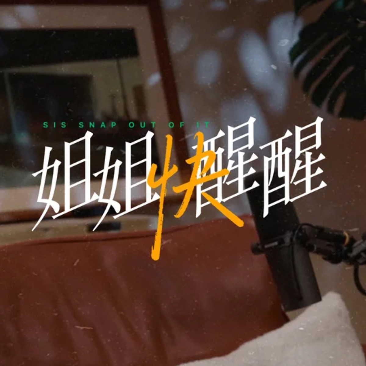 姐姐快醒醒节目封面
